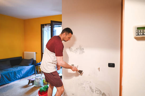 Best Residential Mold Remediation in Poteet, TX